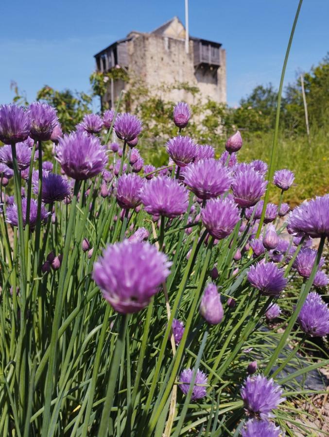 Domaine De La Ferte Clairbois Hotell Sainte-Suzanne  Eksteriør bilde