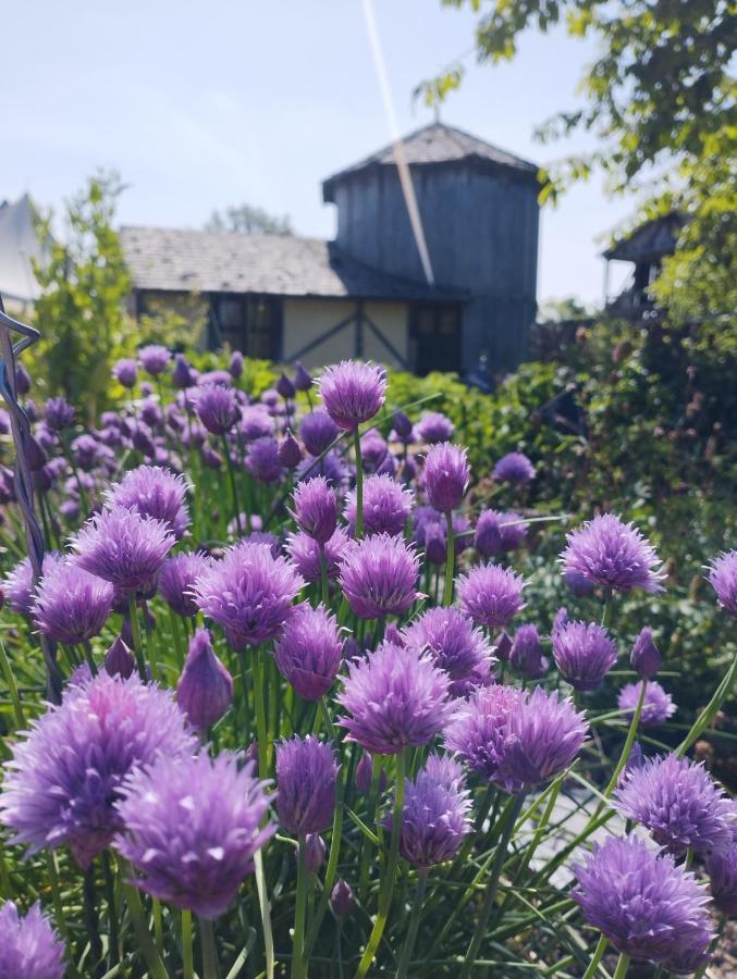 Domaine De La Ferte Clairbois Hotell Sainte-Suzanne  Eksteriør bilde